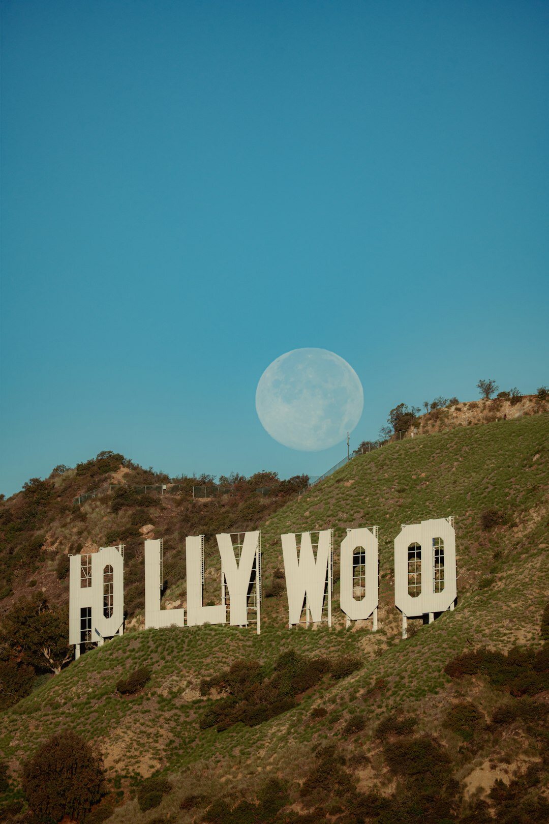 hollywood party scene