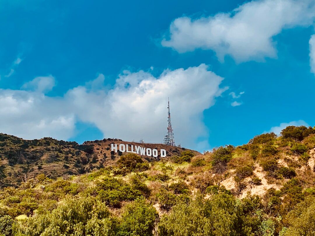 hollywood hills view